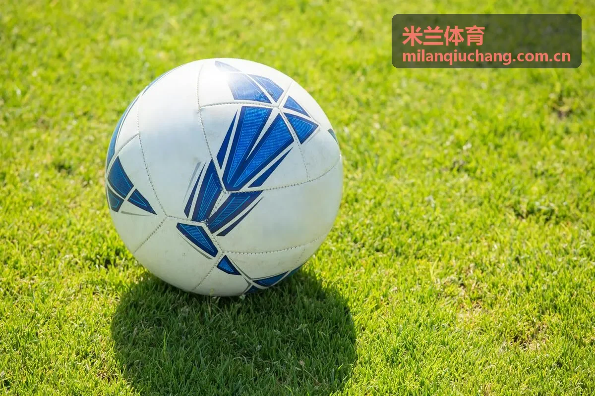 米兰体育球迷活动盛况